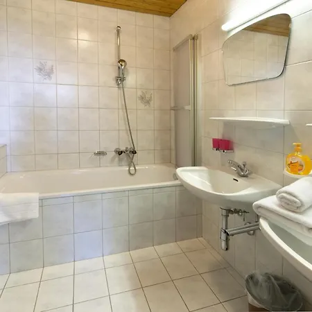 Apartment Ostbacher Stern