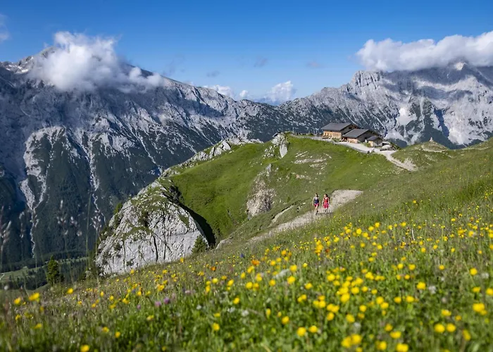 Ostbacher Stern Апартаменты